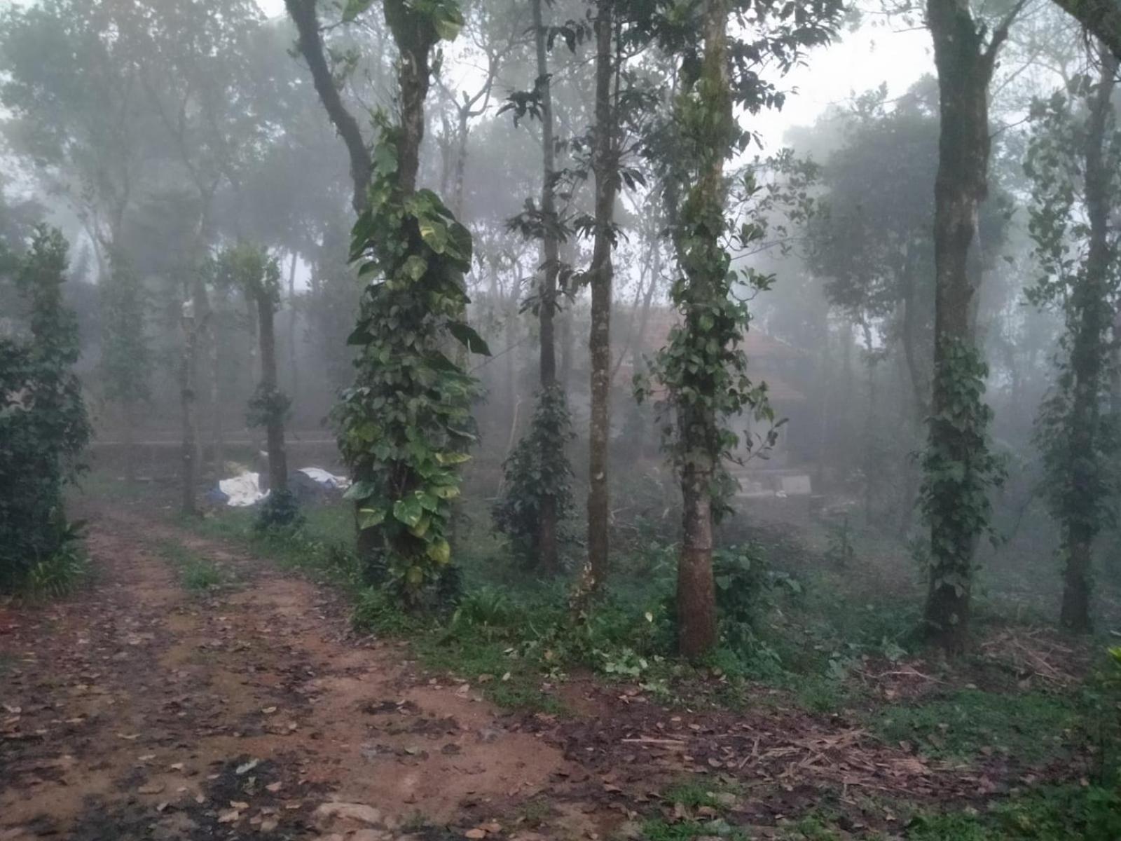 Farm stay Tharayil Farm *