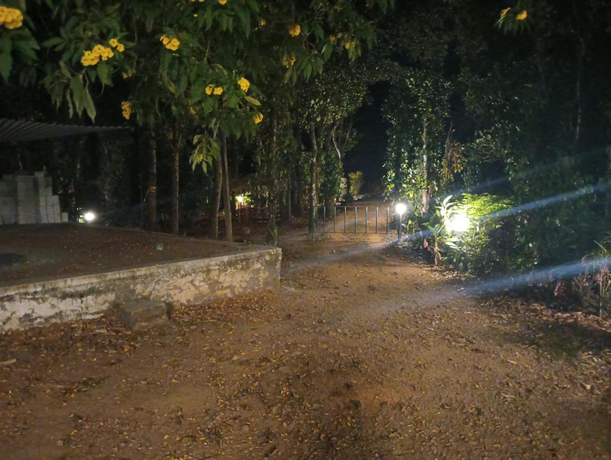 Farm stay Tharayil Farm