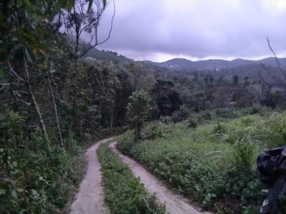 Farm stay Tharayil Farm *