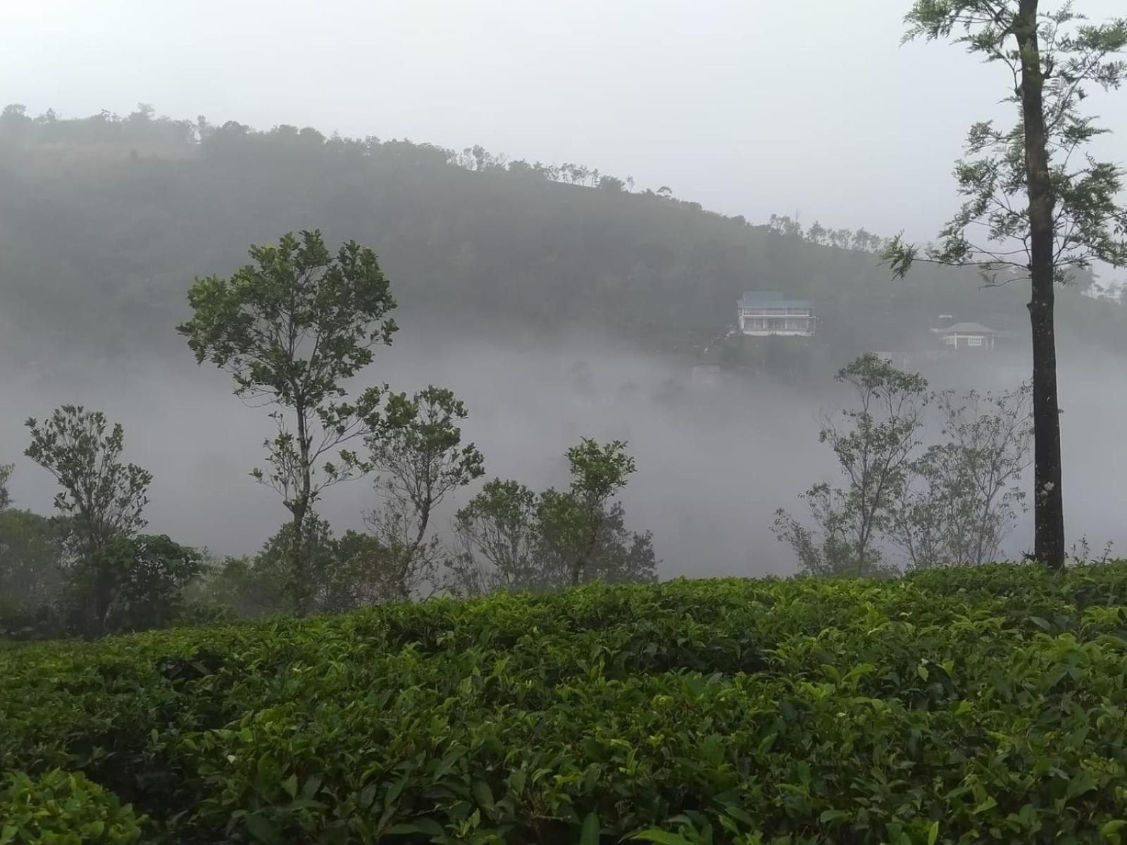 Tharayil Farm Farm stay *