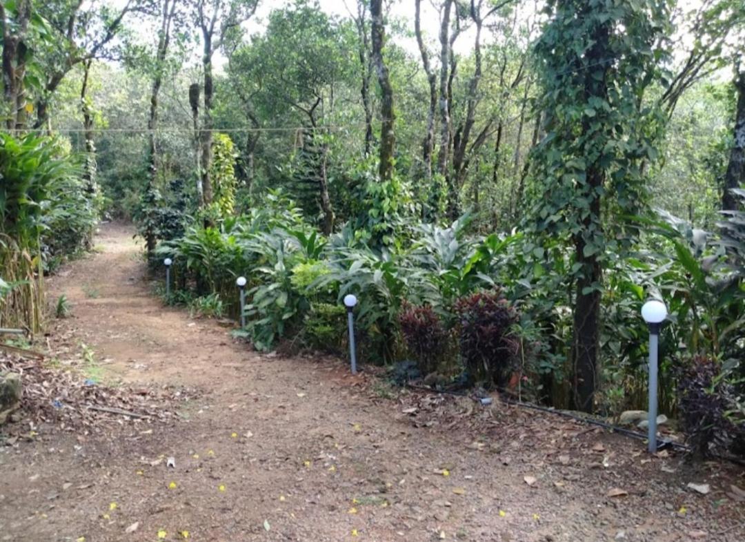 Farm stay Tharayil Farm Vagamon