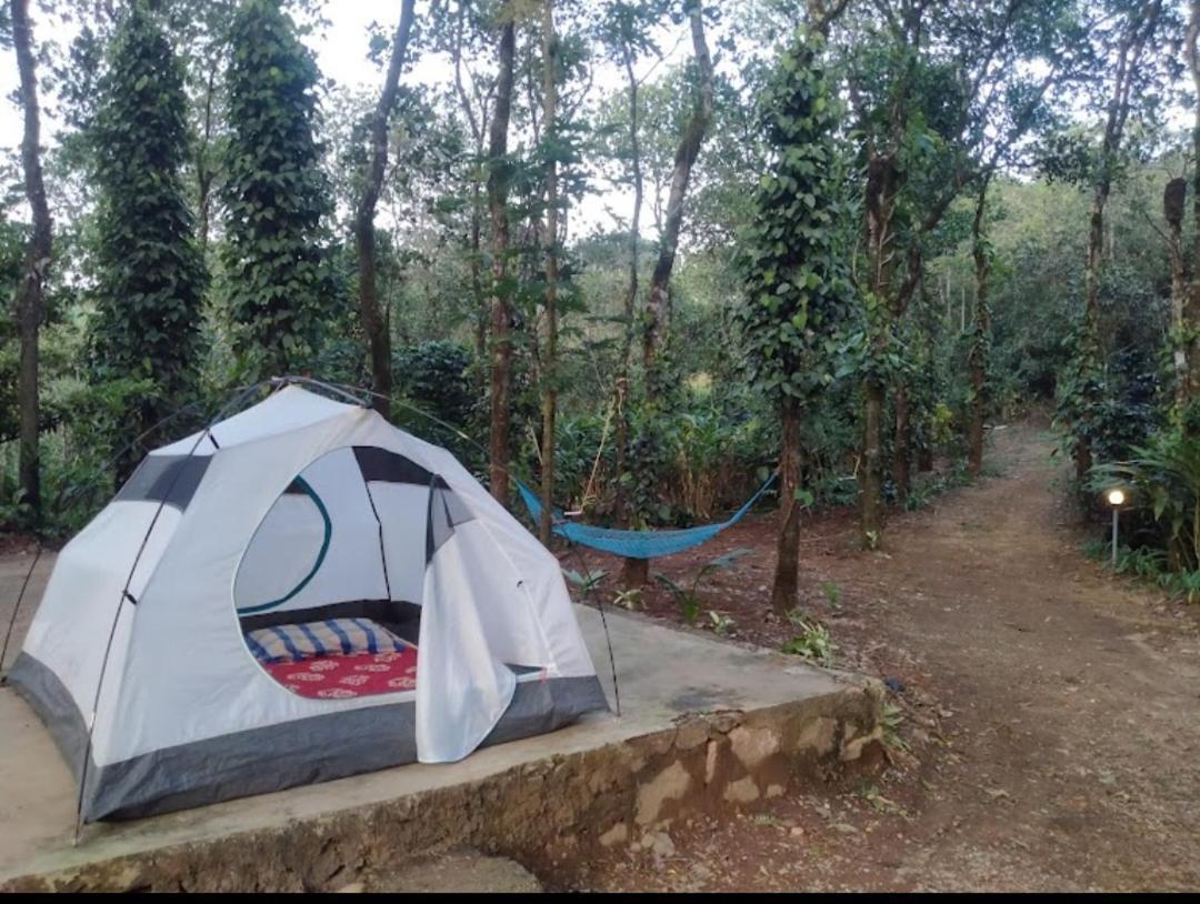 Farm stay Tharayil Farm *