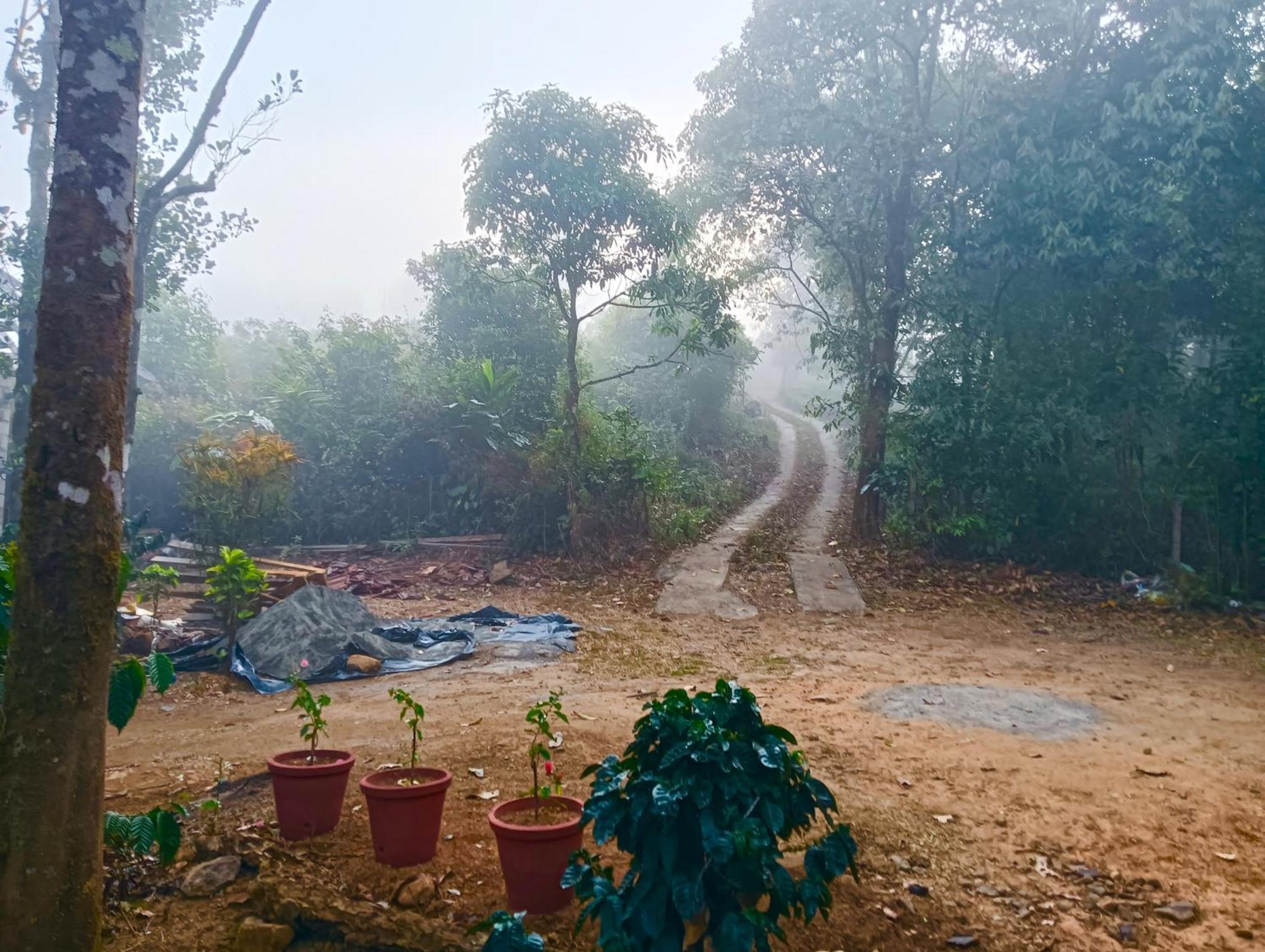 Tharayil Farm *